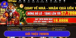 Giới thiệu 789win