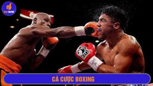 Cá cược boxing