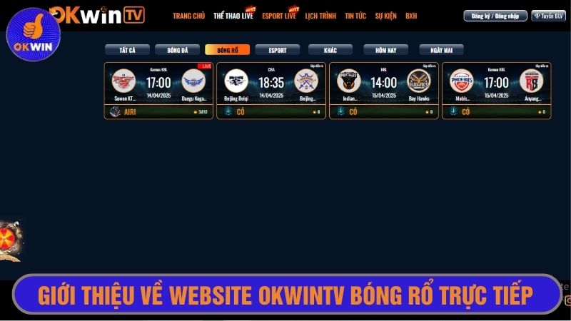 Website Okwintv bóng rổ trực tiếp thu hút đông đảo người hâm mộ