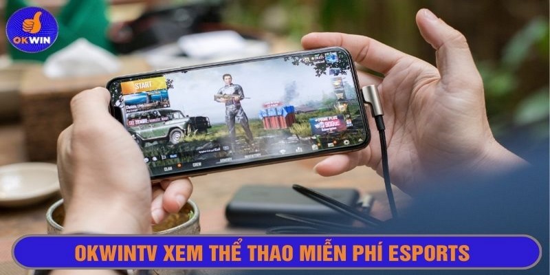 Giải đấu Esports với tại Okwintv mang lại trải nghiệm hấp dẫn