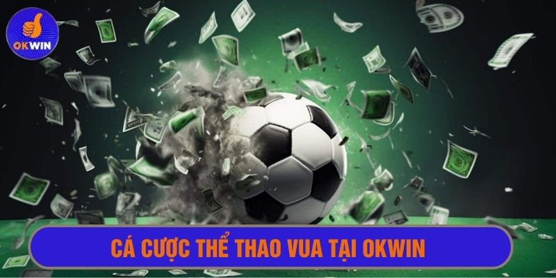 Hết mình cùng thể thao vua tại Okwin 
