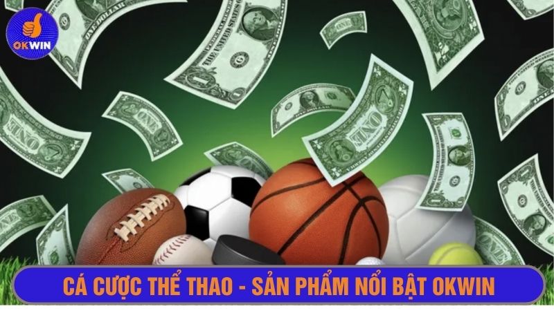 Cá cược thể thao là một trong những cổng game hút khách của okwin 