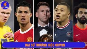 Đại sứ thương hiệu Okwin