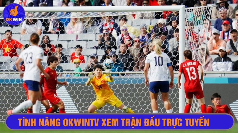 Hình ảnh sắc nét, đường link chất lượng cao 