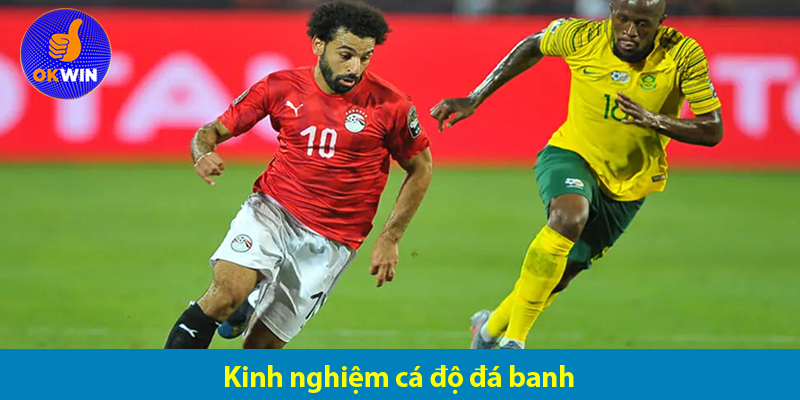 Cách chơi cá độ bóng đá luôn thắng từ dân chuyên nghiệp 2025