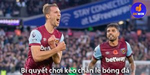 Các loại cược trong kèo chẵn lẻ bóng đá và bí quyết chơi từ OKWIN